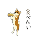 Pockyは柴犬です。(日本語)（個別スタンプ：37）