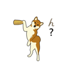 Pockyは柴犬です。(日本語)（個別スタンプ：38）