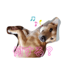 さくよちゃんスタンプ（個別スタンプ：2）