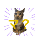 ロッタちゃんのプリティスタンプ（個別スタンプ：2）