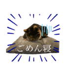 ロッタちゃんのプリティスタンプ（個別スタンプ：4）