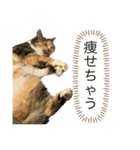 ロッタちゃんのプリティスタンプ（個別スタンプ：5）