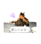 ロッタちゃんのプリティスタンプ（個別スタンプ：6）