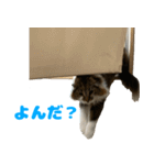 ノルジャンコメスタ（個別スタンプ：3）