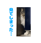 ノルジャンコメスタ（個別スタンプ：7）