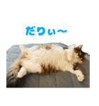 ノルジャンコメスタ（個別スタンプ：10）