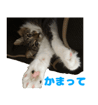 ノルジャンコメスタ（個別スタンプ：19）
