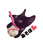 黒猫プティくん❤︎（個別スタンプ：2）
