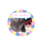 黒猫プティくん❤︎（個別スタンプ：5）