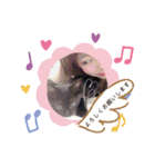 黒猫プティくん❤︎（個別スタンプ：8）