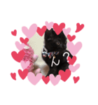 黒猫プティくん❤︎（個別スタンプ：9）