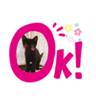 黒猫プティくん❤︎（個別スタンプ：16）