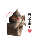 sakunyan.33（個別スタンプ：5）
