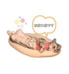 sakunyan.33（個別スタンプ：6）