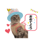 sakunyan.33（個別スタンプ：7）