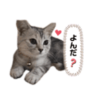 sakunyan.33（個別スタンプ：8）