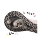 sakunyan.33（個別スタンプ：9）