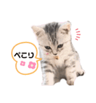 sakunyan.33（個別スタンプ：10）