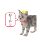 sakunyan.33（個別スタンプ：13）