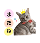 sakunyan.33（個別スタンプ：16）