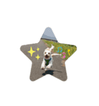 あさdog仲良し（個別スタンプ：2）