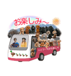 トイプー大好き癒しの部屋記念スタンプ！（個別スタンプ：2）
