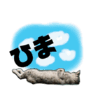 テンテンてんちゃん（個別スタンプ：14）