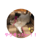 眠リンク（個別スタンプ：2）
