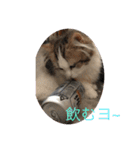 眠リンク（個別スタンプ：8）