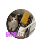眠リンク（個別スタンプ：9）