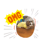 眠リンク（個別スタンプ：14）