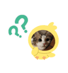 眠リンク（個別スタンプ：15）