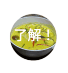 タイごはん（個別スタンプ：12）
