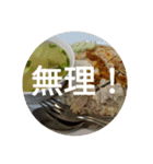 タイごはん（個別スタンプ：16）