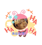 大内家のスタンプだよ！（個別スタンプ：3）