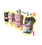猫に蛸 スタンプ by 相良人形制作元（個別スタンプ：5）