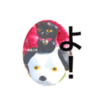 猫に蛸 スタンプ by 相良人形制作元（個別スタンプ：9）