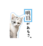 人生を顧みるスタンプ6（個別スタンプ：18）