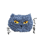 もこもこねこランドからメッセージ（個別スタンプ：1）