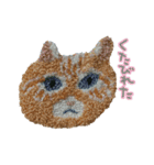 もこもこねこランドからメッセージ（個別スタンプ：5）