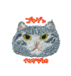 もこもこねこランドからメッセージ（個別スタンプ：6）