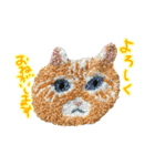 もこもこねこランドからメッセージ（個別スタンプ：10）