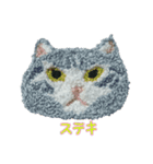 もこもこねこランドからメッセージ（個別スタンプ：11）