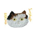もこもこねこランドからメッセージ（個別スタンプ：12）