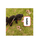 ミクちゃんと若干コーダイ（個別スタンプ：3）