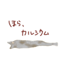 愉快なお弁当の仲間たち（個別スタンプ：32）