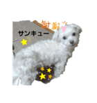 斉藤マルです（個別スタンプ：4）