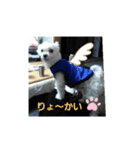 斉藤マルです（個別スタンプ：7）