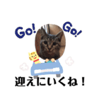 コタちゃんと愉快な仲間たちスタンプ（個別スタンプ：20）