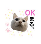 エレンとわさび（個別スタンプ：3）